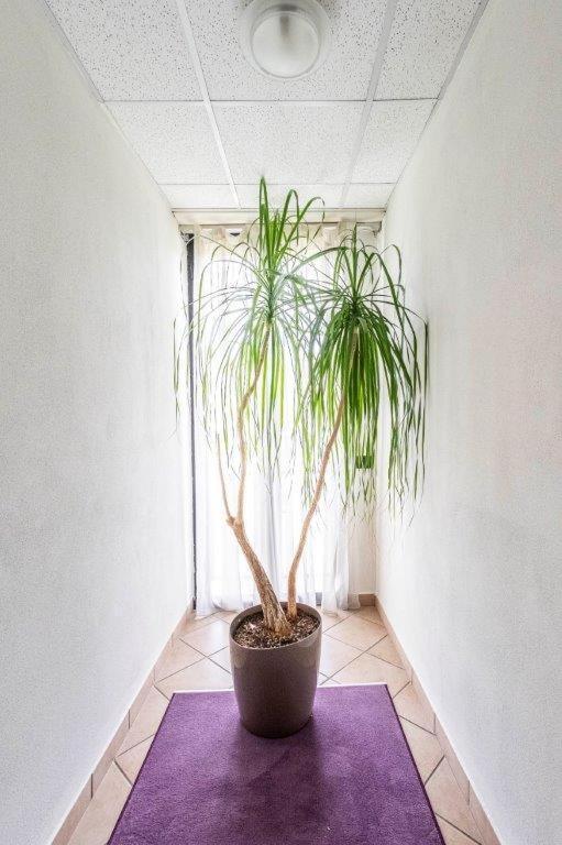 Hotel Le Palme (Adults Only) ดอร์เมลเล็ตโต ภายนอก รูปภาพ